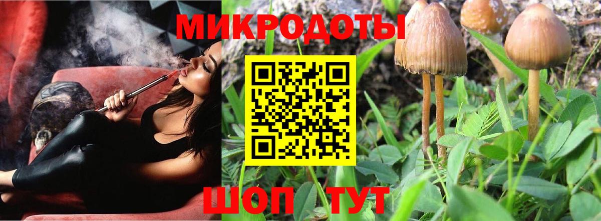 Псилоцибиновые грибы мицелий Богородицк